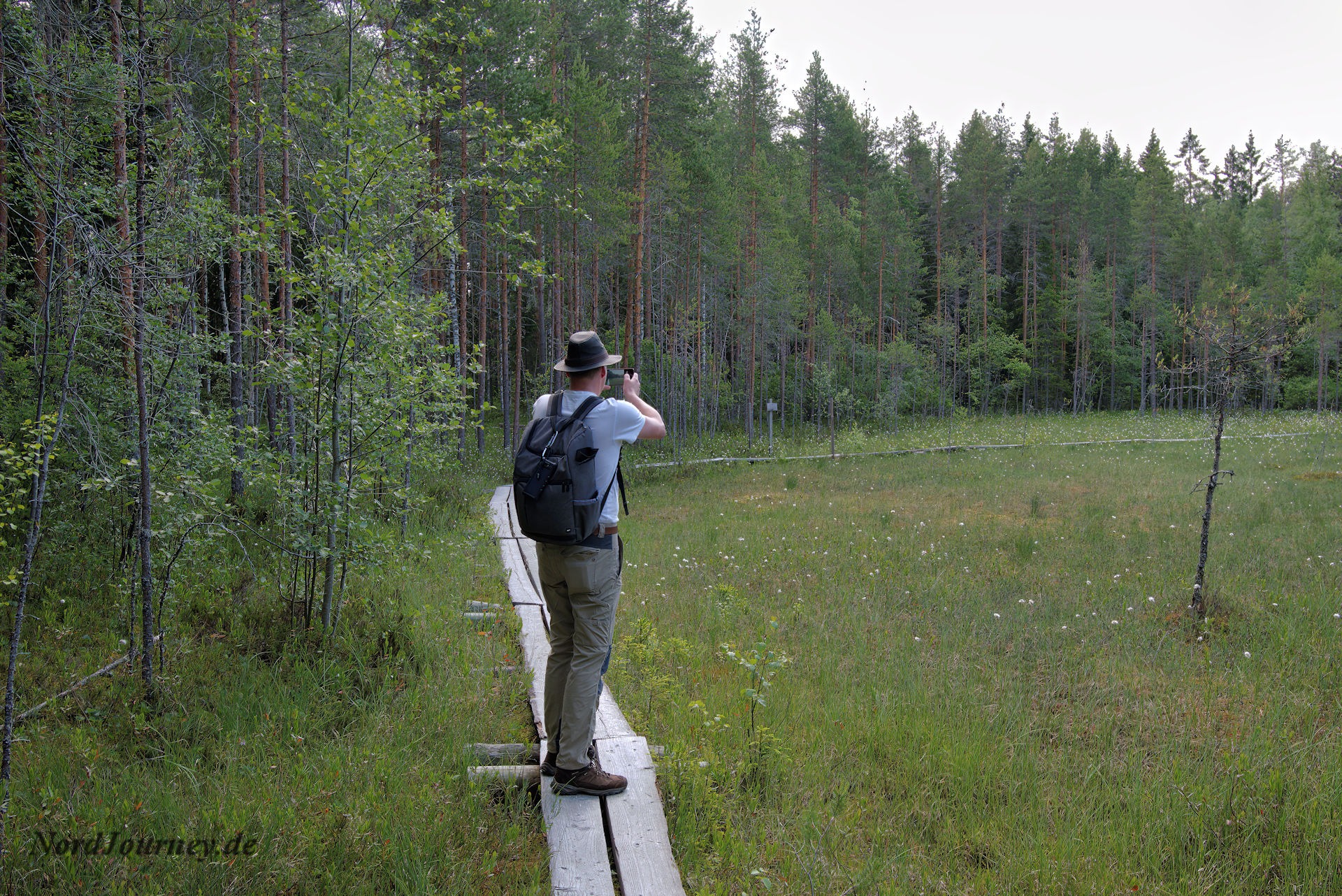 Faszination der Natur am Karhuvuori Lehrpfad