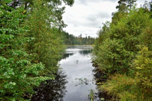 Eine ruhige Seeszene mit üppig grünen Bäumen und Büschen, die das ruhige Wasser unter einem bewölkten Himmel umgeben.