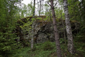 Felsformation, umgeben von dichtem Wald und hohen Bäumen.
