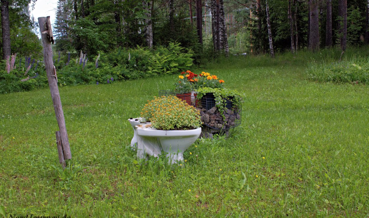 Als Blumentopf umfunktionierte Toilettenschüssel mit Grünpflanzen und Blumen in einem von Bäumen umgebenen Garten mit Gras.