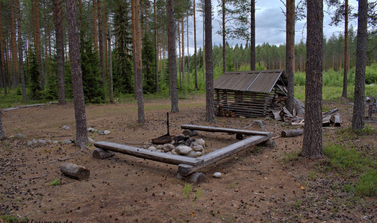 Eine kleine Holzhütte und eine Feuerstelle mit darum herum angeordneten Holzscheiten stehen auf einer Waldlichtung, umgeben von hohen Kiefern.