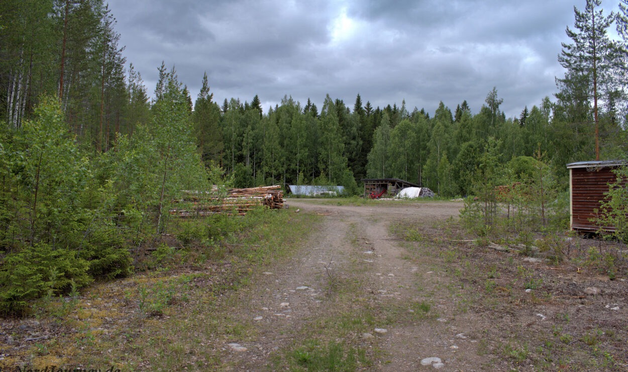 Ein Feldweg führt unter bewölktem Himmel durch eine Waldlichtung mit gestapelten Baumstämmen und kleinen Holzkonstruktionen.