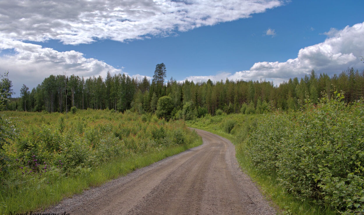 Eine Schotterstraße schlängelt sich unter einem teilweise bewölkten blauen Himmel durch einen üppig grünen Wald.