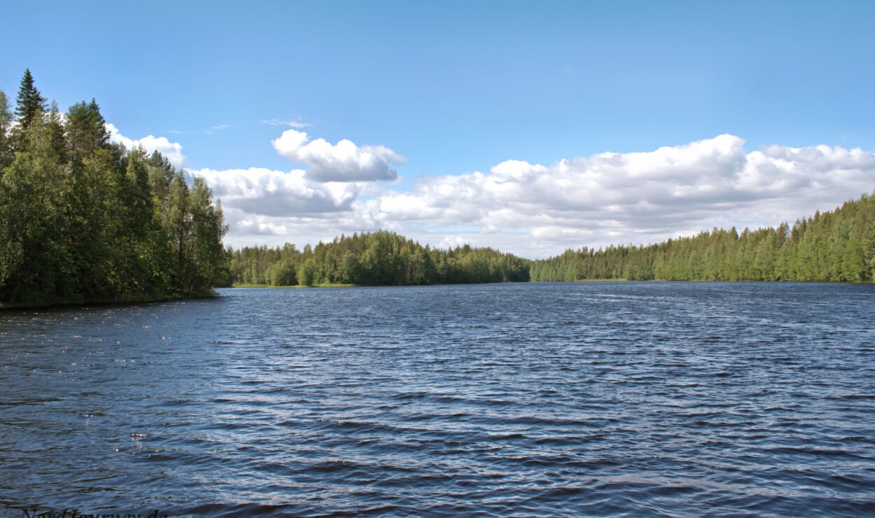 Ein ruhiger See, umgeben von dichten Wäldern unter einem teilweise bewölkten Himmel.