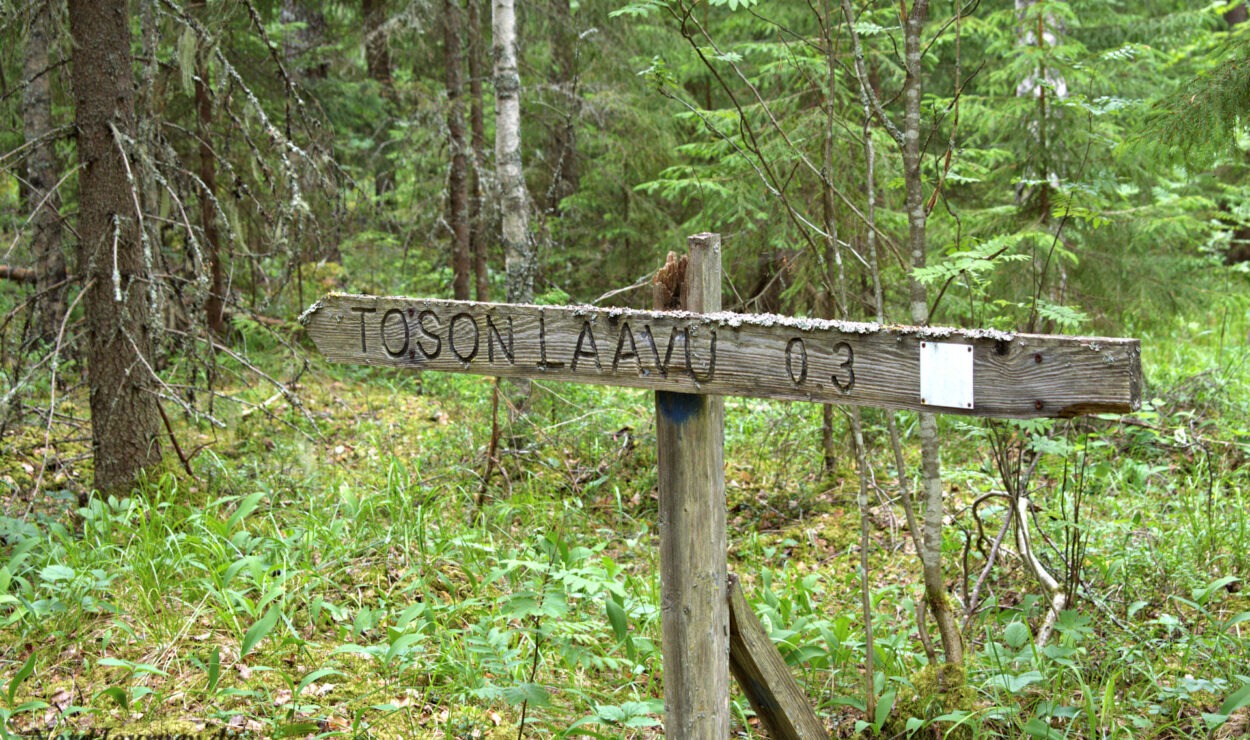 Ein Holzschild in einem Wald weist auf einen 0,3 Kilometer entfernten Ort namens „Toson Laavu“ hin.