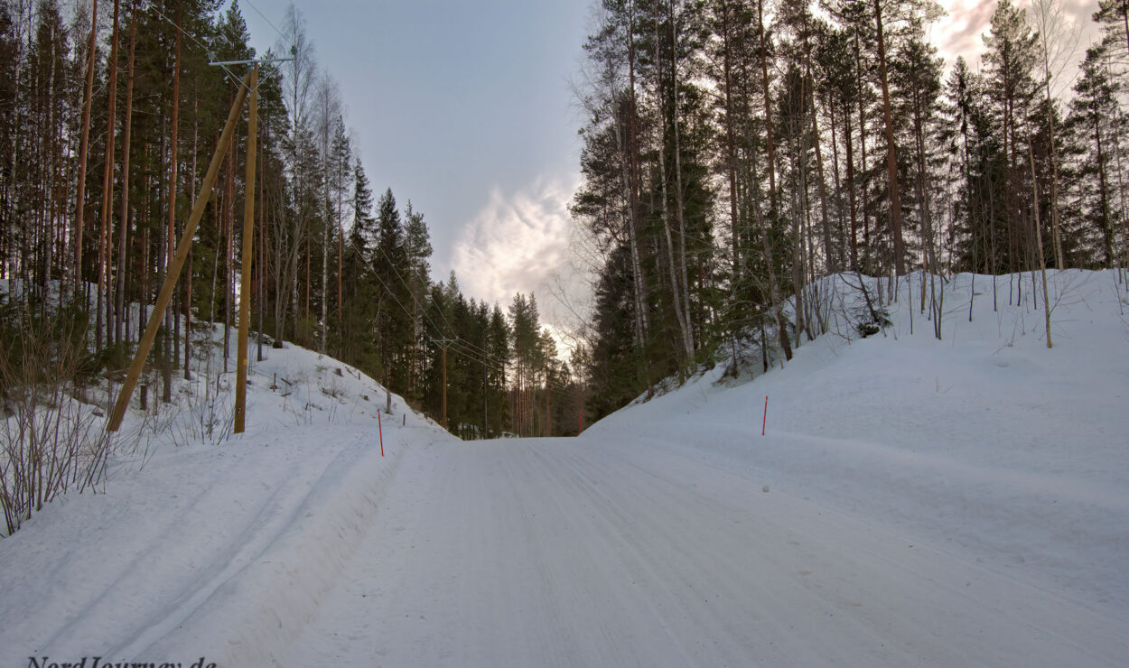 Verschneite Straße, auf beiden Seiten von hohen Bäumen gesäumt, unter einem teilweise bewölkten Himmel.