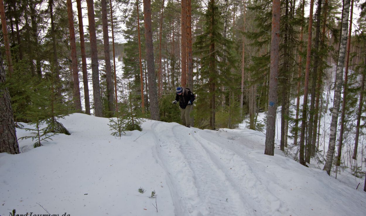 Person, die bergauf einen verschneiten Waldweg mit hohen Bäumen geht.