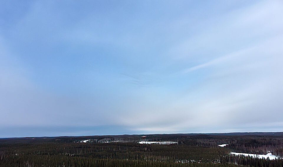 Weitläufige Aussicht auf eine ausgedehnte, bewaldete Landschaft mit Schneeflecken unter einem klaren blauen Himmel.