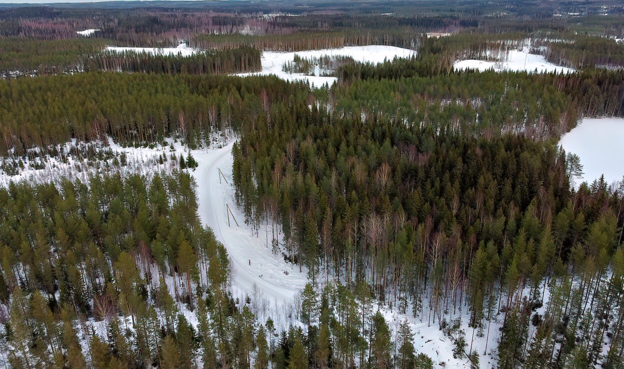 Luftaufnahme einer verschneiten Waldlandschaft mit gewundenen Pfaden und Flecken immergrüner Bäume unter einem bewölkten Himmel.