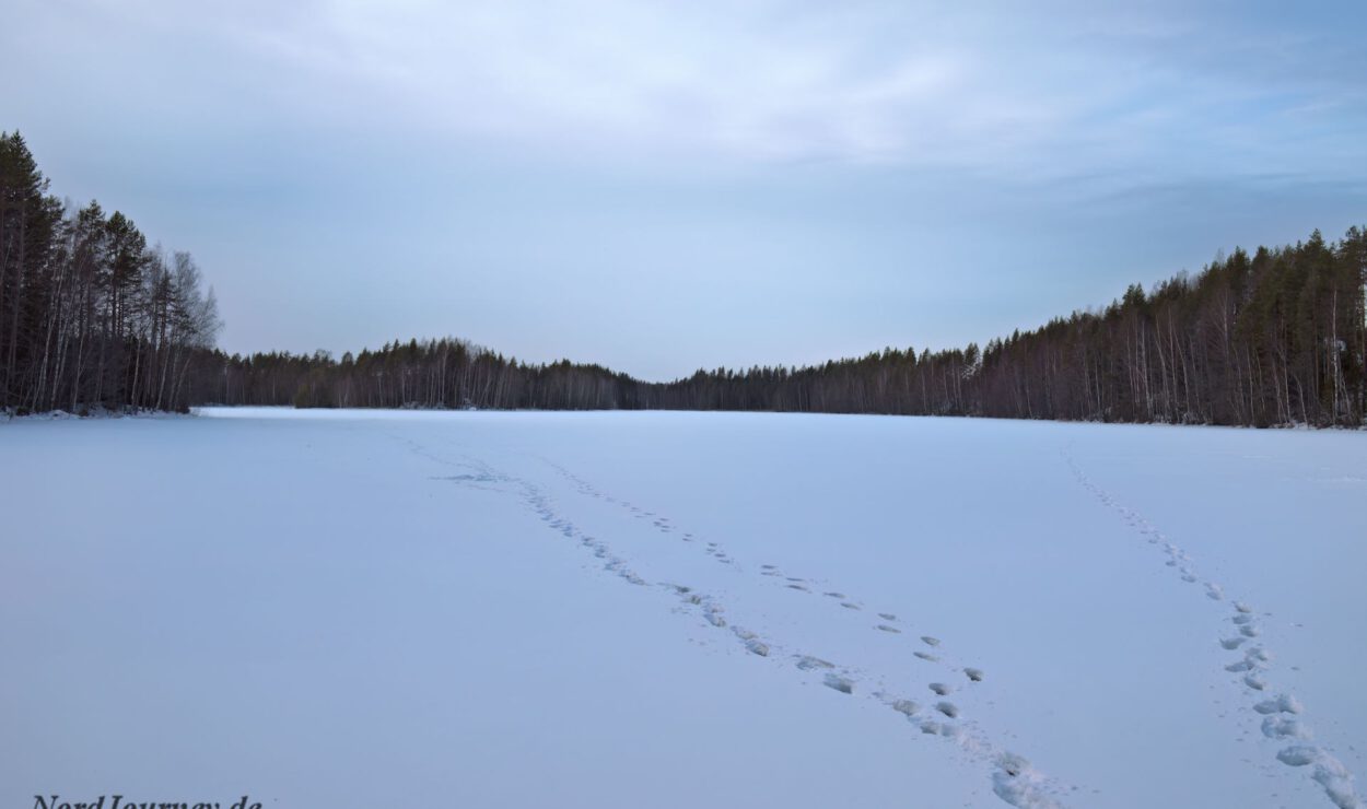 Schneebedeckte Landschaft mit Fußspuren, die eine weite Fläche durchziehen. Dichte Bäume säumen den Horizont unter einem bedeckten Himmel.