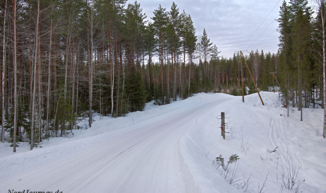 Verschneite Straße, die sich durch einen Kiefernwald schlängelt, mit Strommasten an der Seite, unter einem bewölkten Himmel.