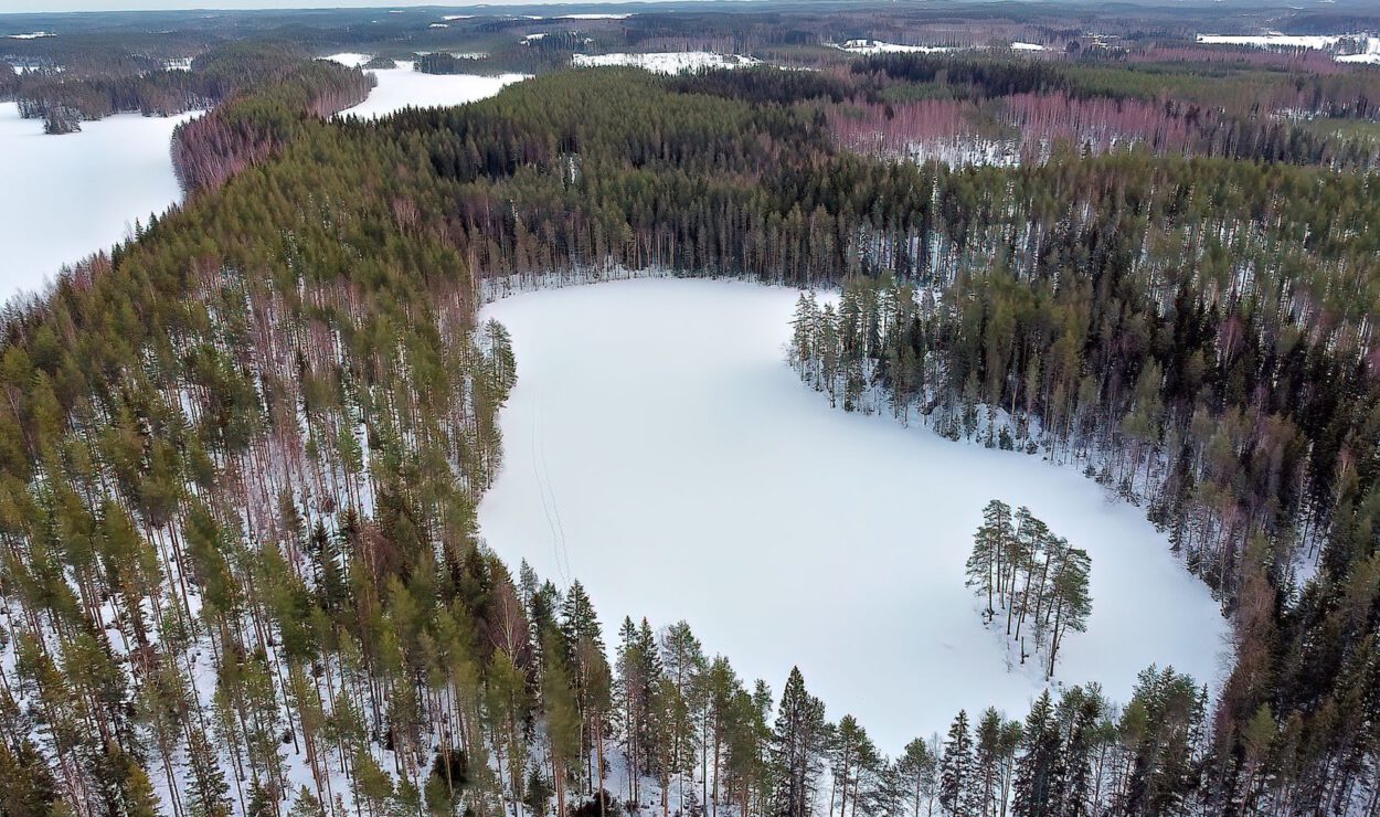 Luftaufnahme eines schneebedeckten Sees, umgeben von einem dichten Wald mit Flecken immergrüner und kahler Bäume unter einem bewölkten Himmel.