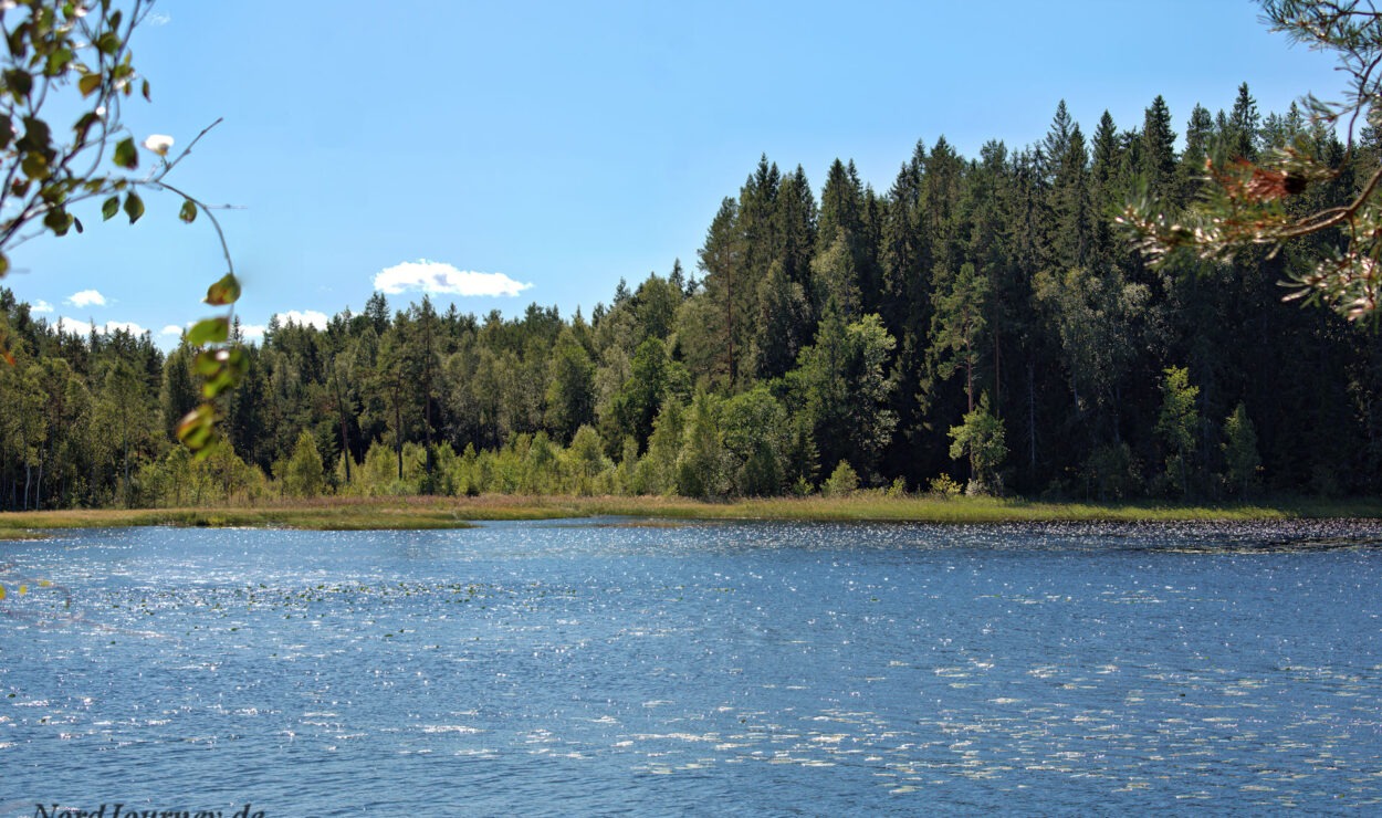 See mit schimmerndem Wasser, umgeben von dichtem Wald unter einem klaren blauen Himmel.