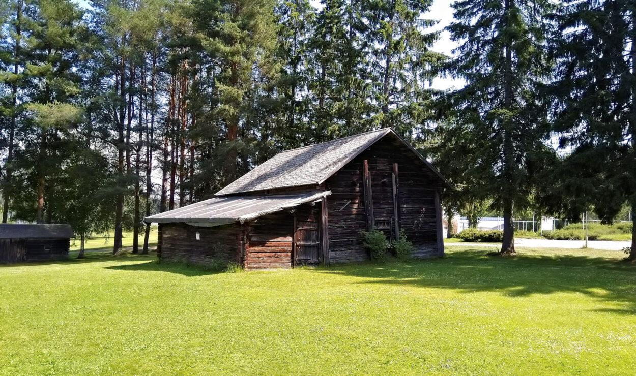 Eine rustikale Holzhütte steht auf einer Wiese, umgeben von hohen Kiefern unter einem klaren blauen Himmel.