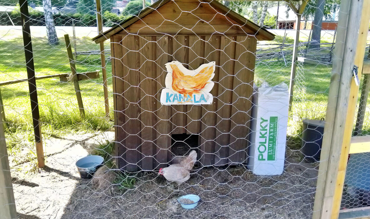 Hühner vor einem Holzstall mit der Aufschrift „Kanala“ und eingezäuntem Bereich. In der Nähe sind ein Sack Polku-Einstreu und eine Schüssel mit Wasser zu sehen.