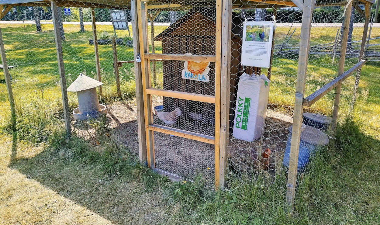 Ein Hühnerstall mit Hühnern, einem Futtertrog und einem Wasserspender im Inneren. Die Struktur besteht aus Holz und Maschendraht und steht auf Gras.