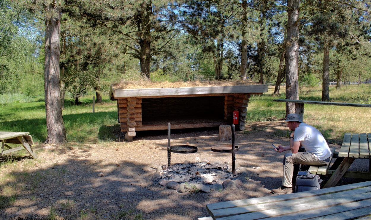 Eine Person sitzt an einem Picknicktisch in der Nähe eines Holzunterstands und einer Feuerstelle in einem Waldstück. Die Feuerstelle ist von Steinen umgeben und Bäume spenden Schatten.