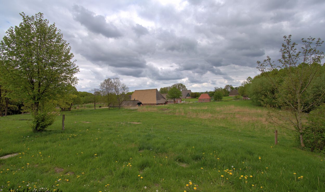 Eine Wiese mit verstreuten gelben Blumen, Bäumen und mehreren Bauernhäusern unter einem bewölkten Himmel.