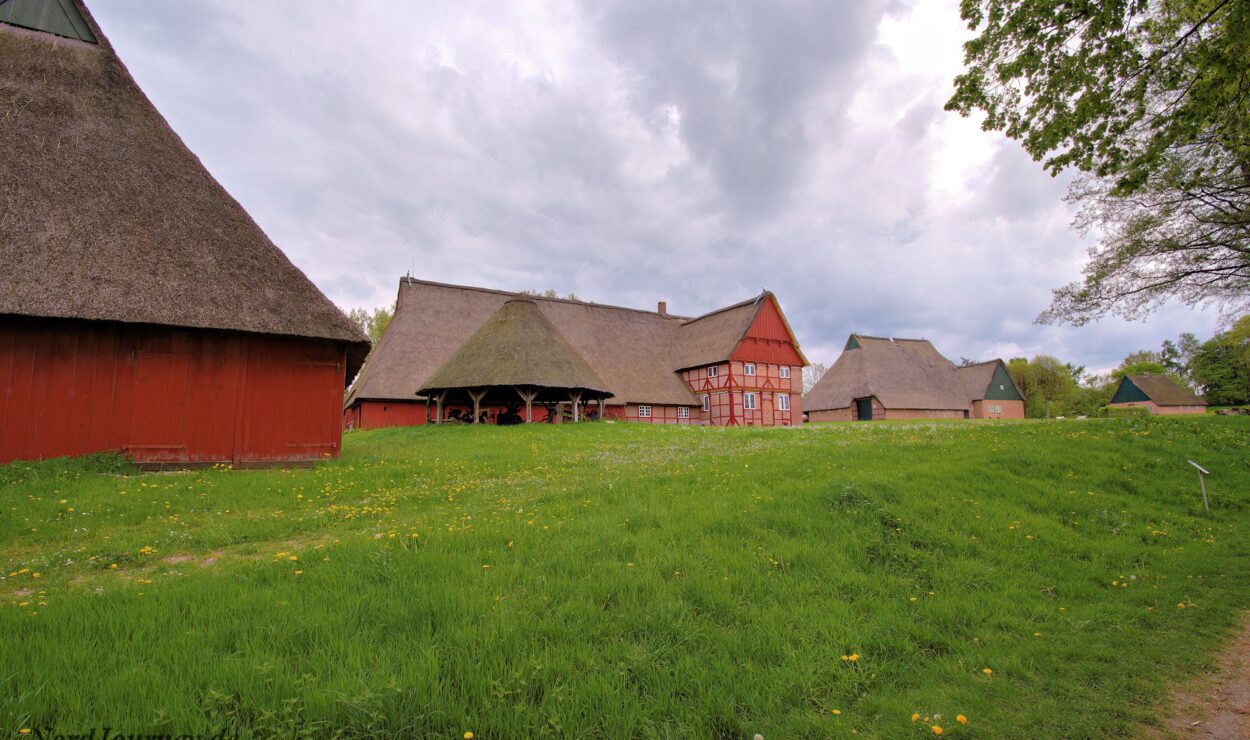 Mehrere große, traditionelle Bauerngebäude mit Strohdächern stehen auf einer Wiese unter einem bewölkten Himmel.