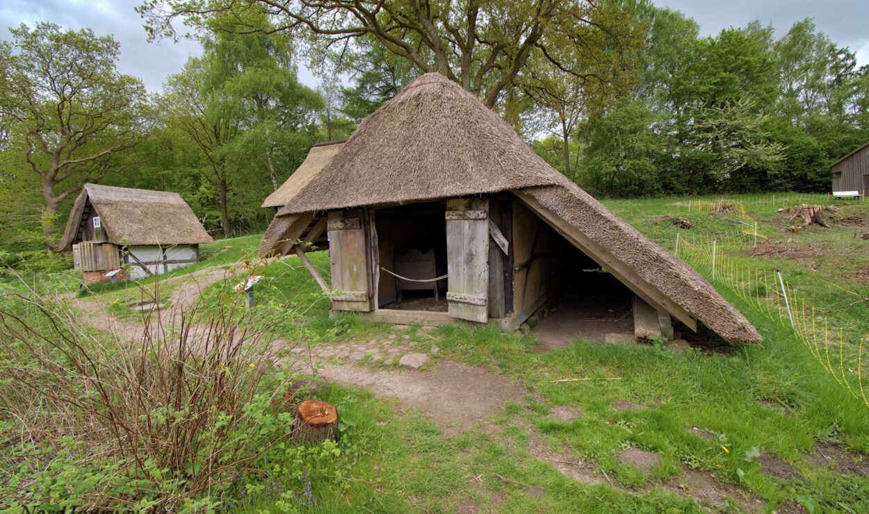 In einer grasbewachsenen Waldgegend steht ein kleines, rustikales Holzhaus mit Strohdach. Im Hintergrund ist ein ähnliches Gebäude zu sehen.
