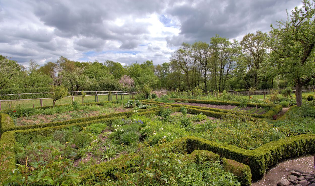 Ein formaler Garten mit ordentlich geschnittenen Hecken, verschiedenen Grünpflanzen und Bäumen im Hintergrund unter einem bewölkten Himmel.