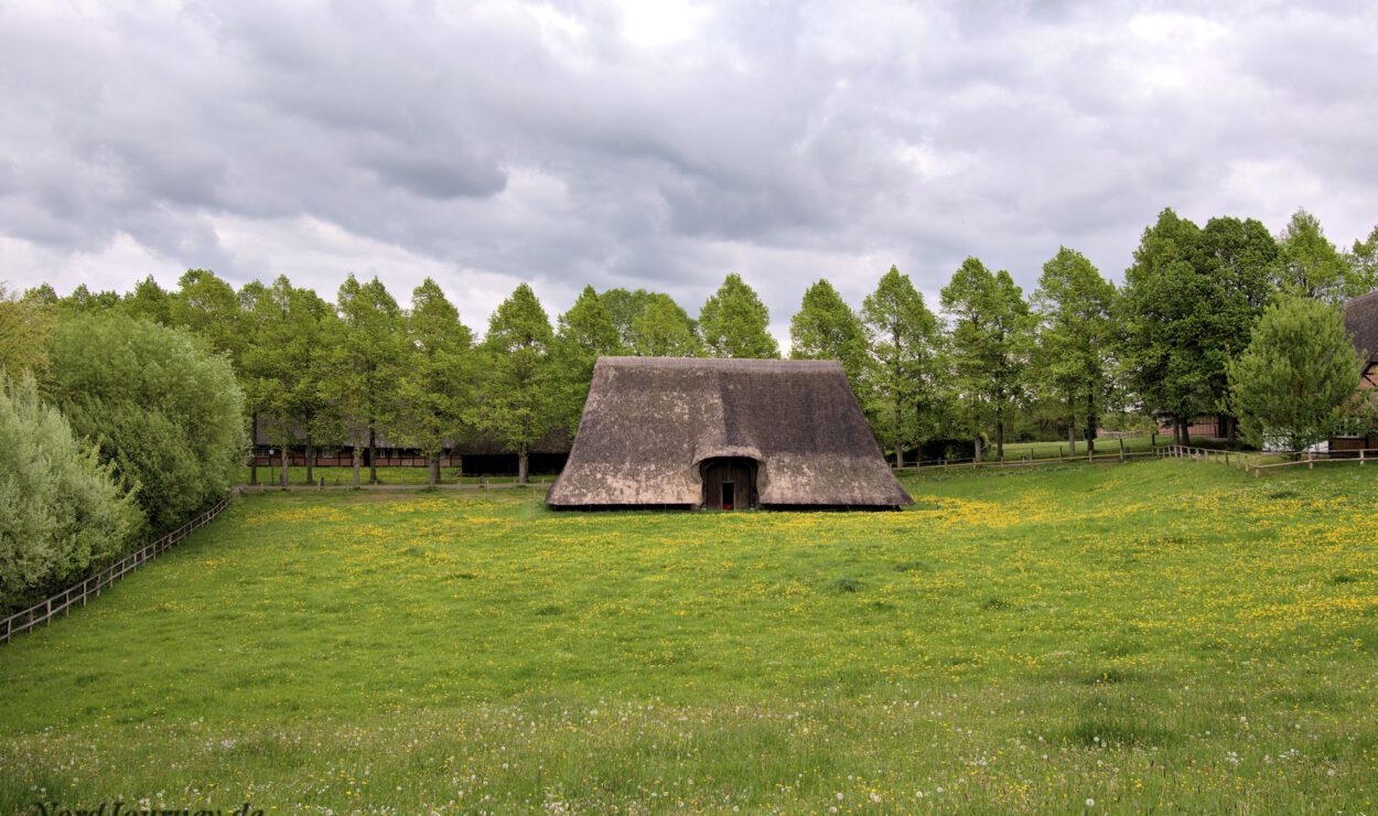 Eine Scheune mit Strohdach steht allein auf einer grünen Wiese mit Bäumen im Hintergrund unter einem bewölkten Himmel.