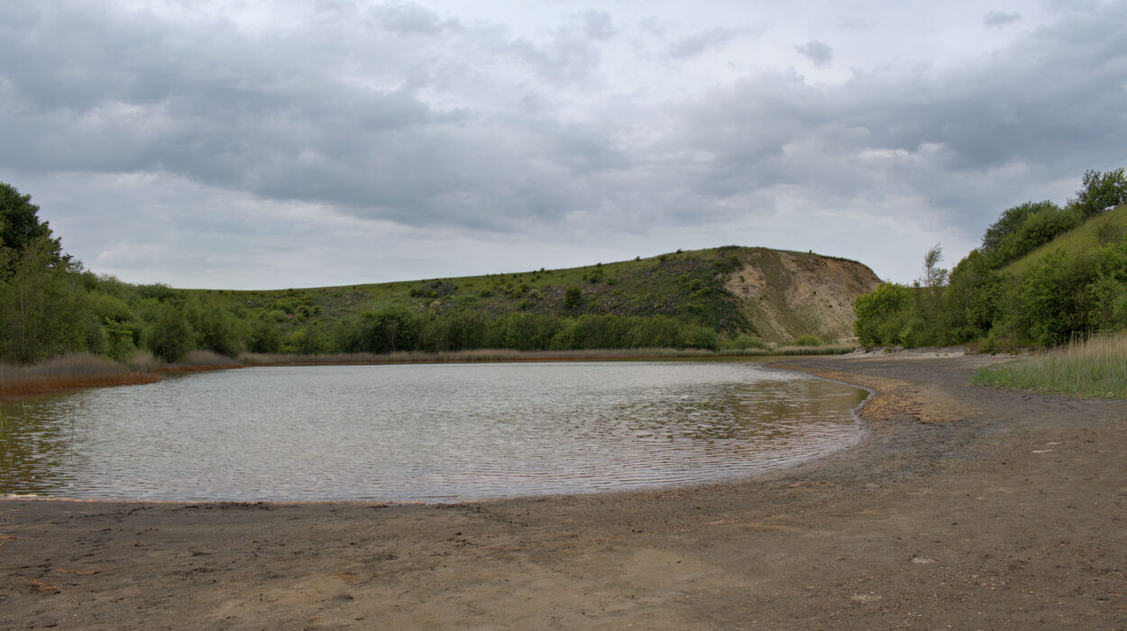 Ein kleiner, flacher See mit schlammigen Ufern, umgeben von grüner Vegetation und Hügeln unter einem bewölkten Himmel.