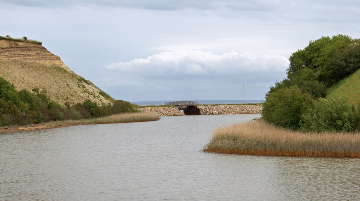 Ein ruhiger Fluss fließt zwischen grasbewachsenen Ufern mit einer felsigen Böschung und einem Tunnel, der im Hintergrund unter einem bewölkten Himmel zu sehen ist.