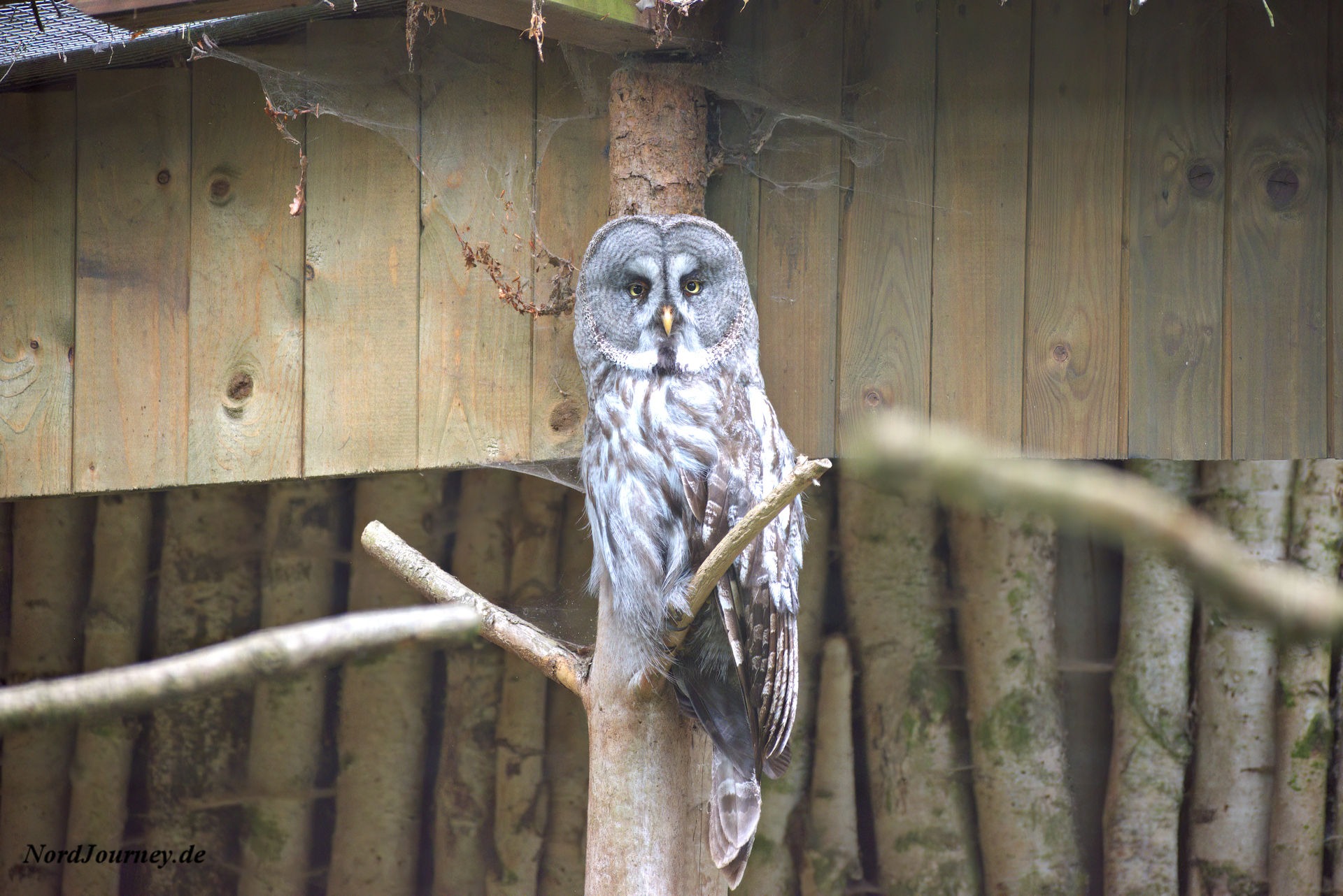 Im Takt der Tiere – Ein Tag im Wildpark Eekholt