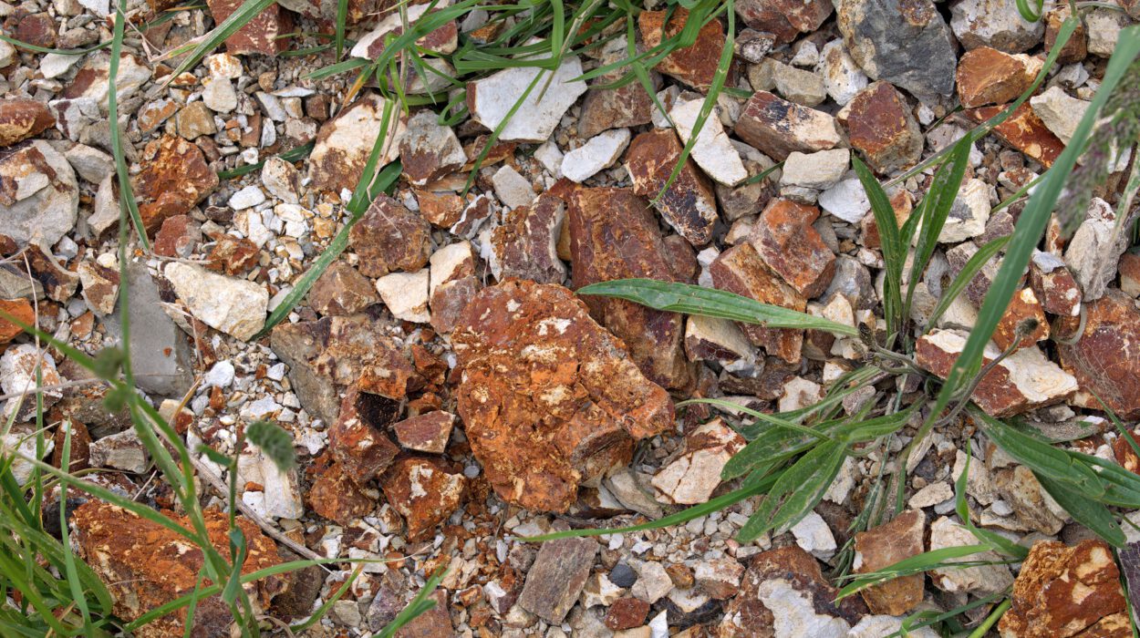 Verstreute rostfarbene und weiße Steine mischen sich mit grünen Grashalmen auf dem Boden.
