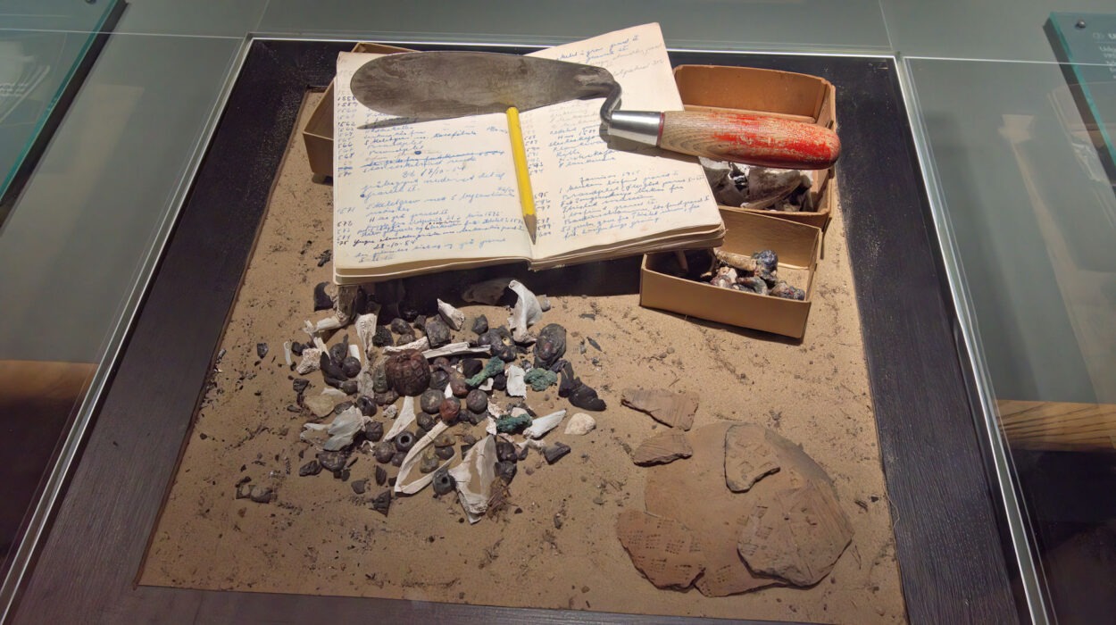 Eine Vitrine mit einem aufgeschlagenen Notizbuch, einer Kelle, kleinen Kisten mit Artefakten und verschiedenen Steinen und Fragmenten, die auf Sand angeordnet sind.