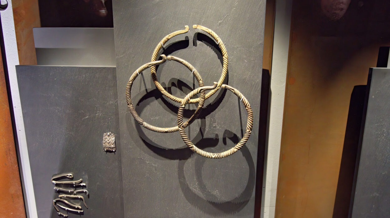 Drei große, gedrehte Metallringe sind auf einer grauen Tafel zusammen mit kleineren metallischen Artefakten in einer Museumsumgebung ausgestellt.