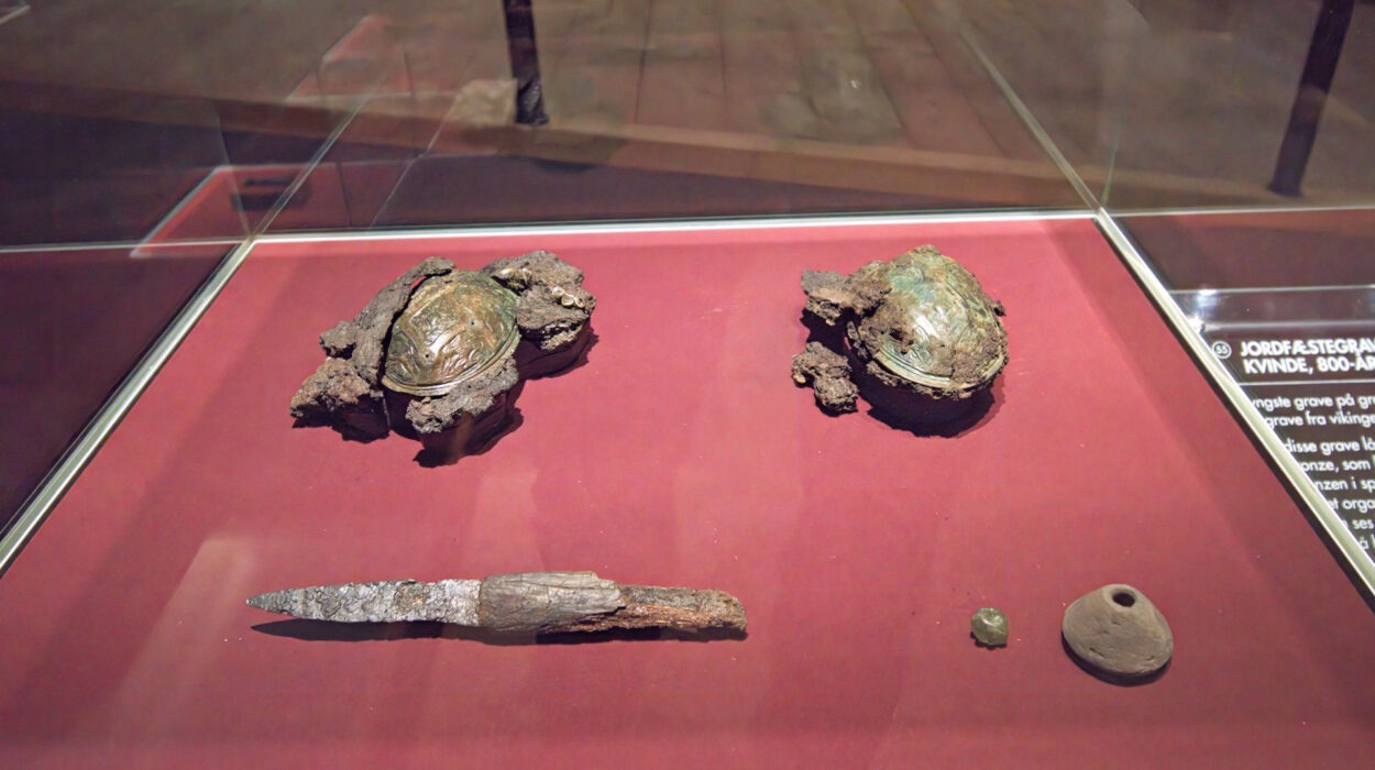 Antike Artefakte in einer Glasvitrine, darunter zwei Fibeln, eine korrodierte Messerklinge, eine runde Perle und ein Spinnwirtel aus Ton auf einer roten Oberfläche.