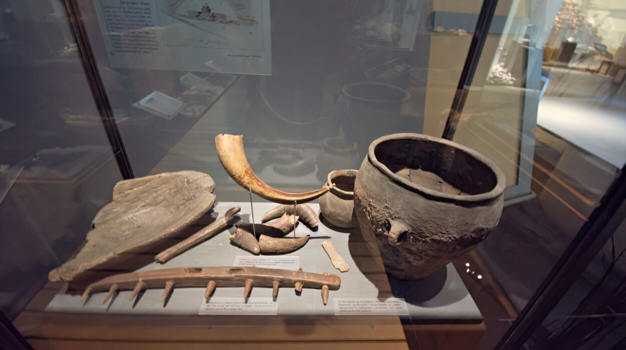 Eine Museumsvitrine mit antiken Töpferwaren, Tierknochen, einem Horn und anderen archäologischen Artefakten auf einer beschrifteten Fläche.