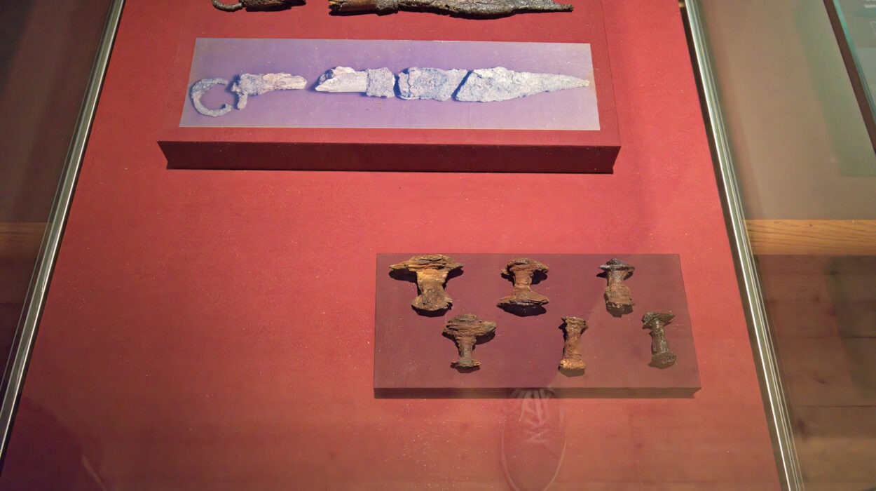 Vitrine mit mehreren antiken Metallartefakten, darunter Klingen und andere Metallgegenstände, die auf zwei Plattformen mit rotem Hintergrund angeordnet sind.