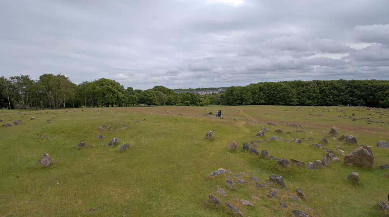 Breites Grasfeld mit verstreuten Steinen, gesäumt von Bäumen unter einem bewölkten Himmel; eine kleine Gruppe von Menschen steht in der Nähe der Mitte.